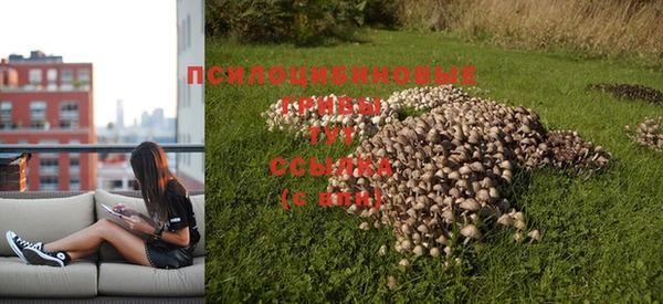 экстази Алексеевка