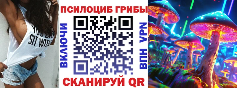 как найти   Чапаевск  Псилоцибиновые грибы Psilocybe 